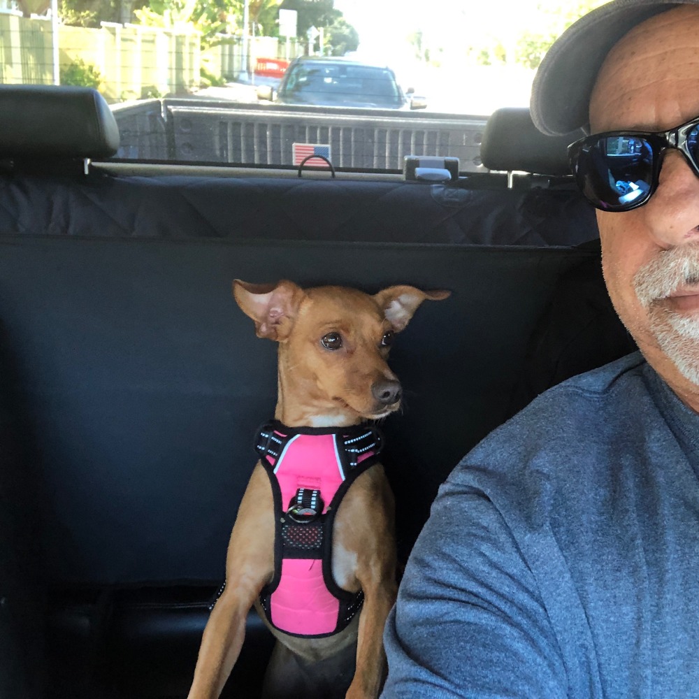 Meet your Posher, Al